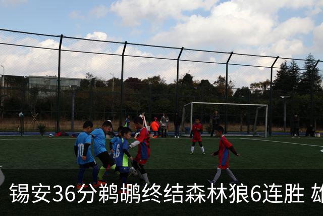 锡安36分鹈鹕终结森林狼6连胜 雄鹿险胜公牛